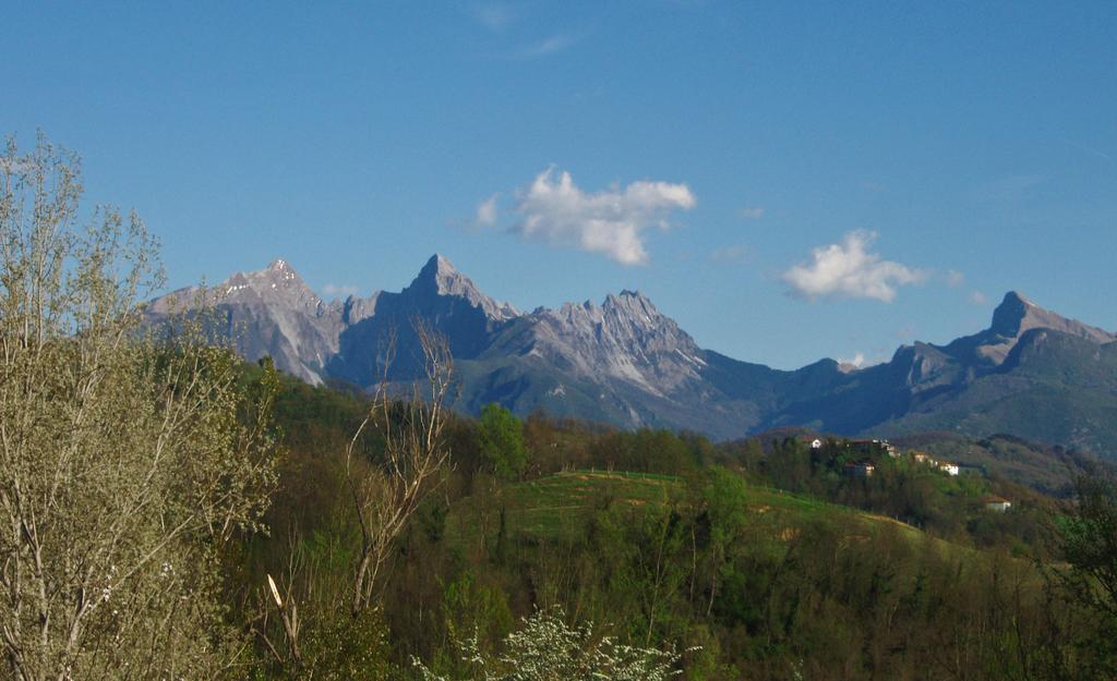 Vila Forni Rosaia Olivola  Exteriér fotografie