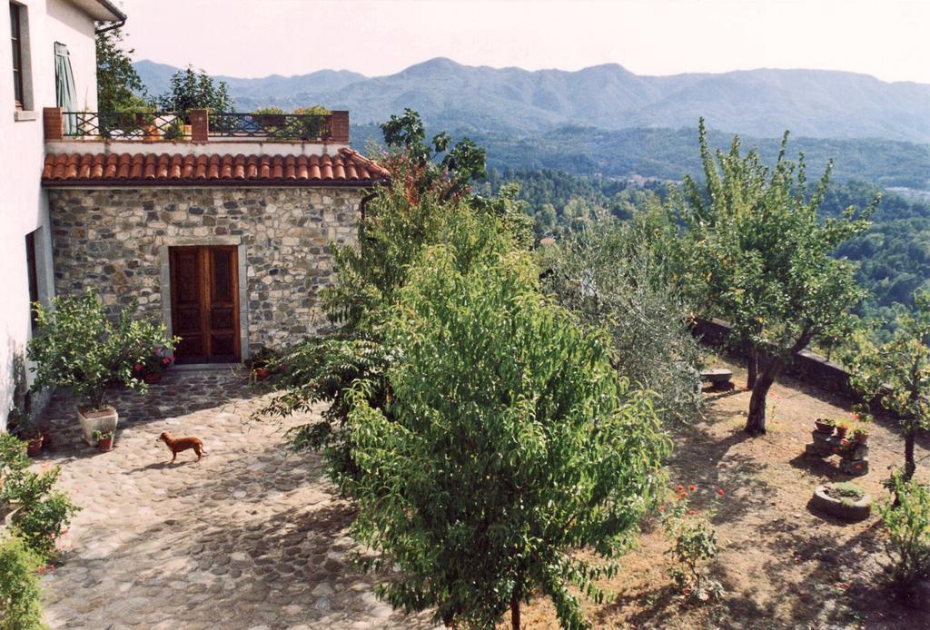 Vila Forni Rosaia Olivola  Exteriér fotografie